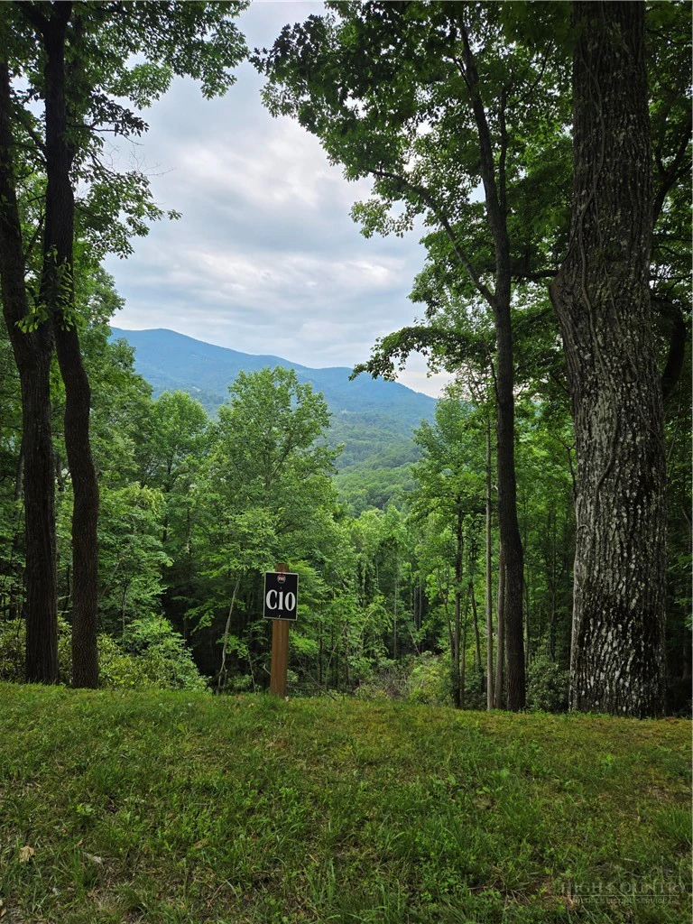 Image number 1 for the current listing