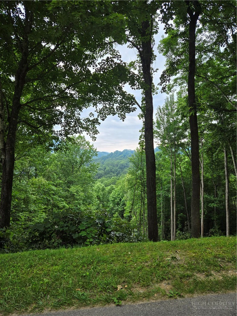 Image number 2 for the current listing