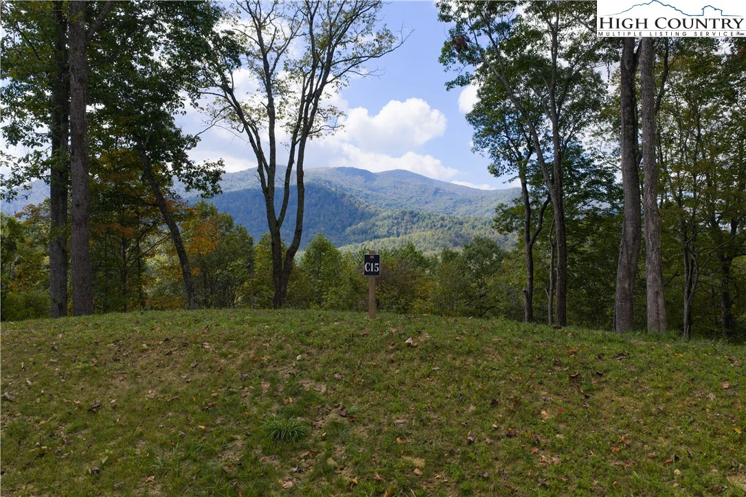 Image number 1 for the current listing