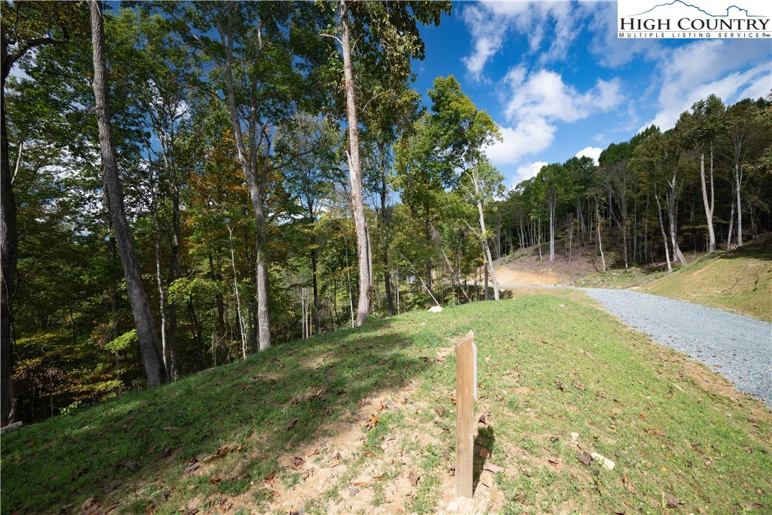 Image number 4 for the current listing