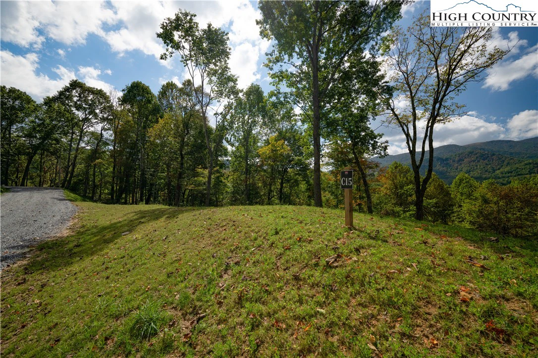 Image number 5 for the current listing