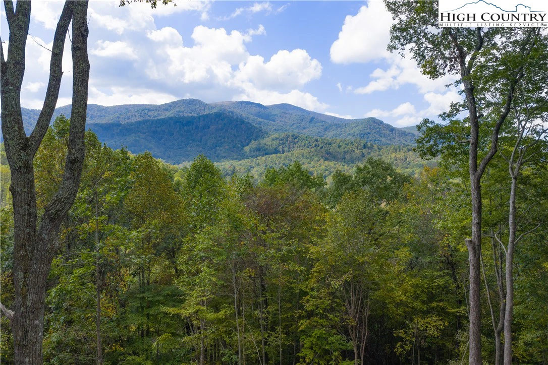Image number 11 for the current listing