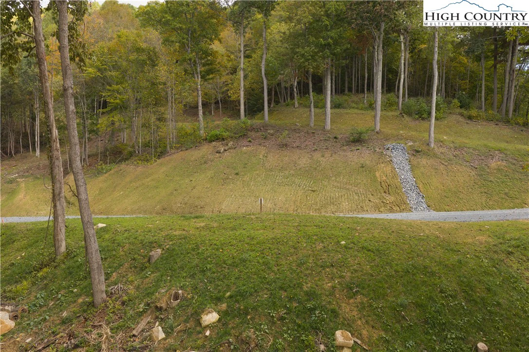 Image number 12 for the current listing