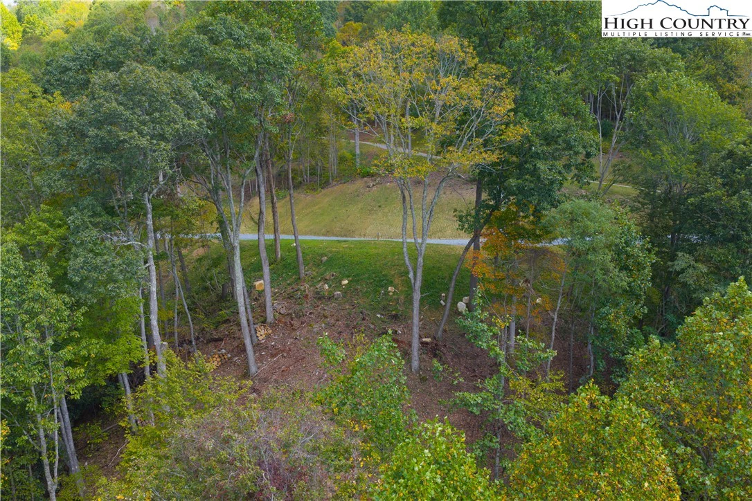 Image number 14 for the current listing