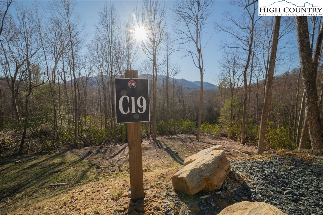 Image number 1 for the current listing