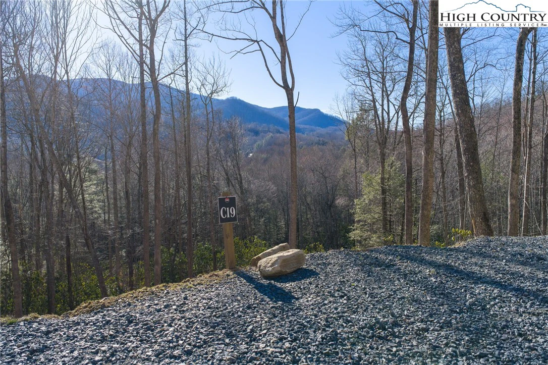 Image number 19 for the current listing