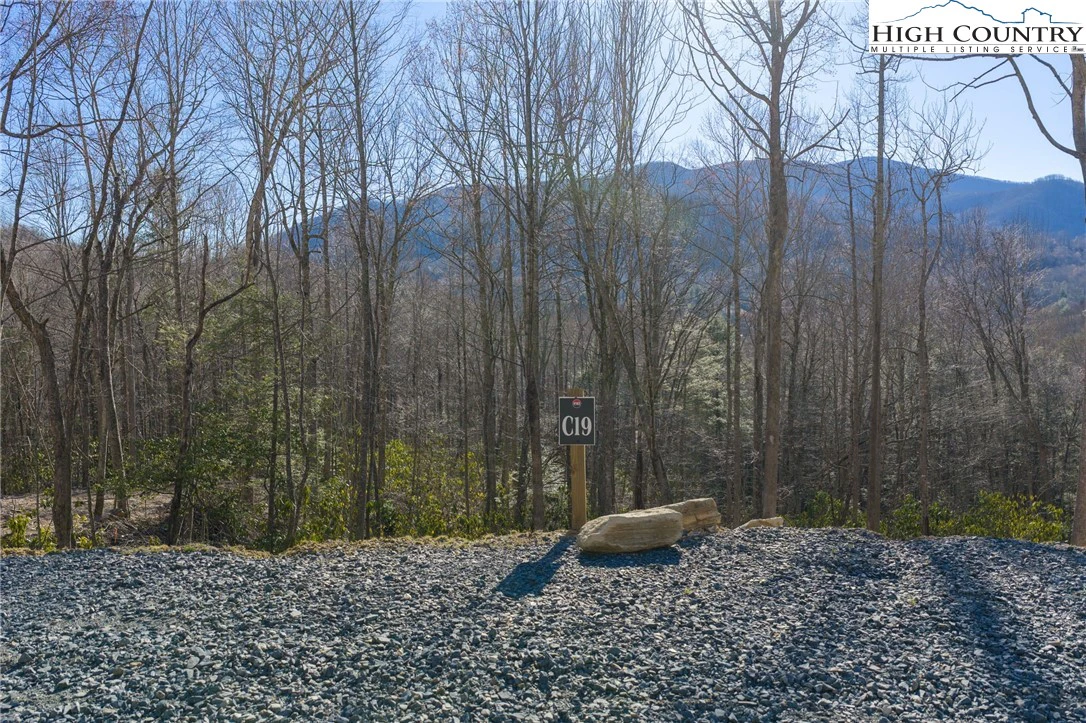 Image number 18 for the current listing