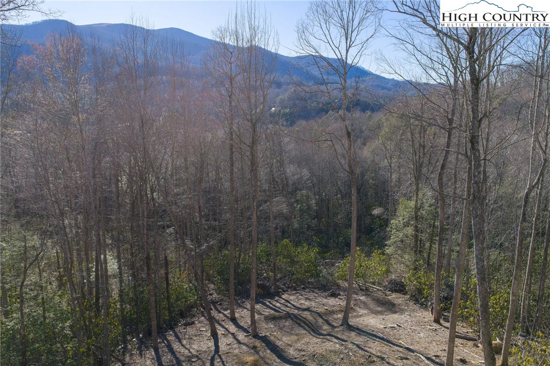 Image number 10 for the current listing