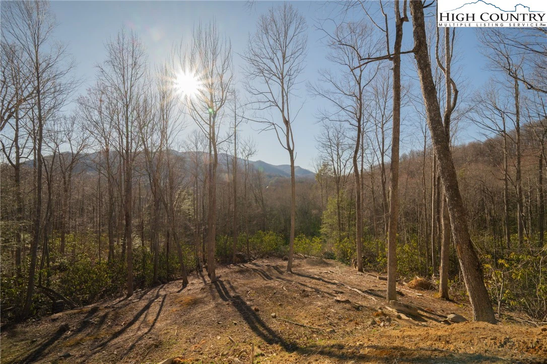 Image number 4 for the current listing