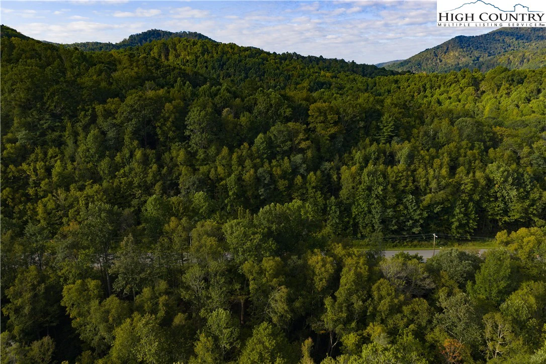 Image number 1 for the current listing