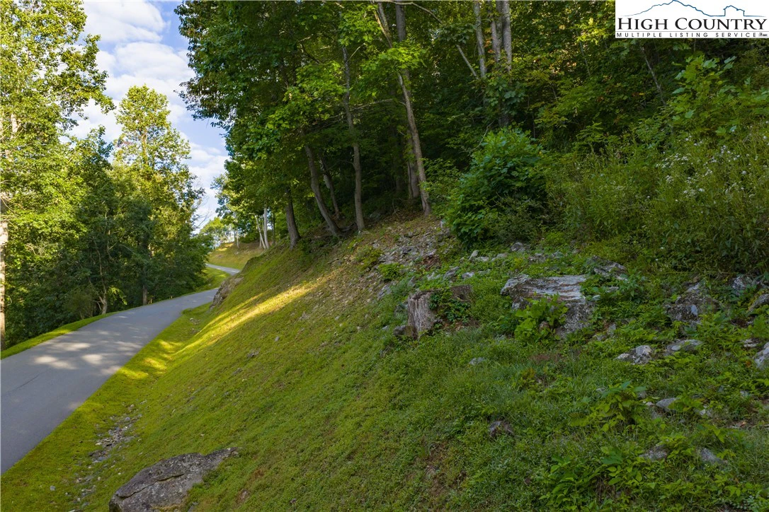 Image number 6 for the current listing