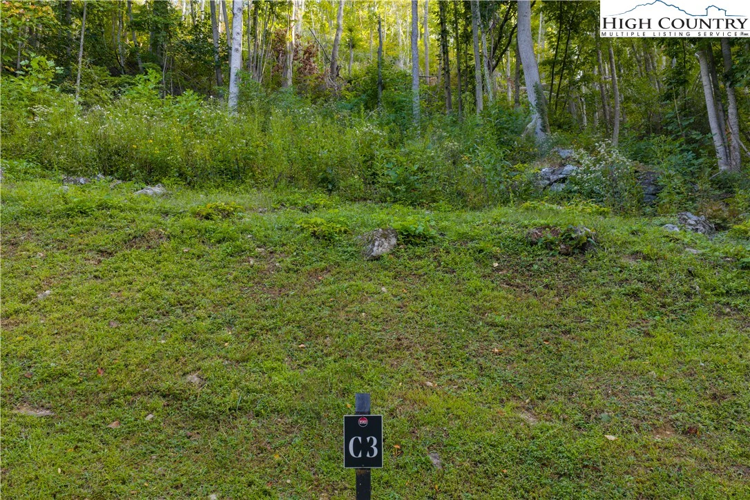 Image number 8 for the current listing