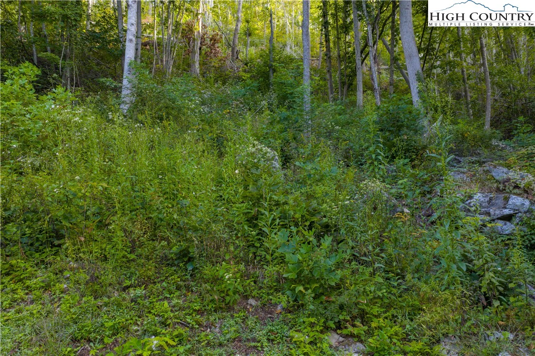 Image number 9 for the current listing