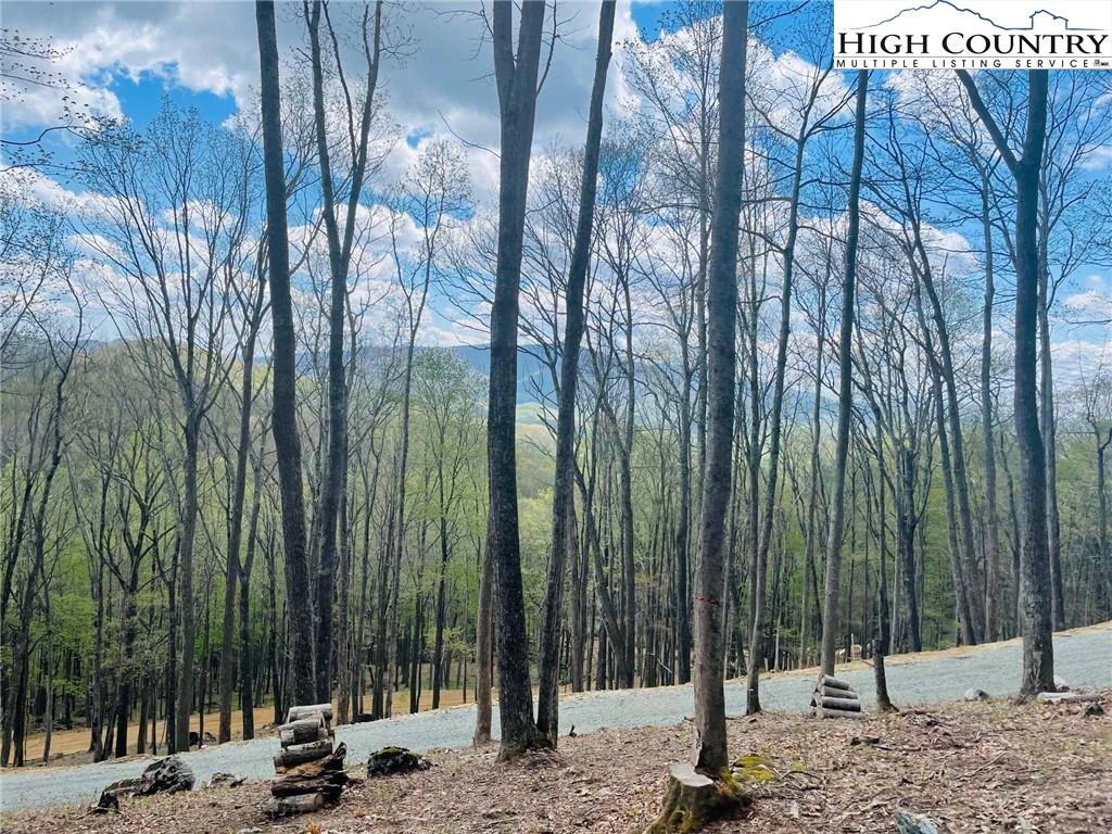 Image number 1 for the current listing