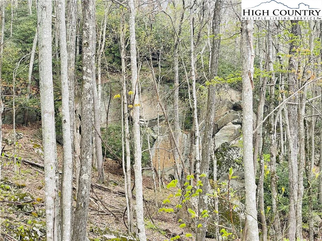 Image number 3 for the current listing