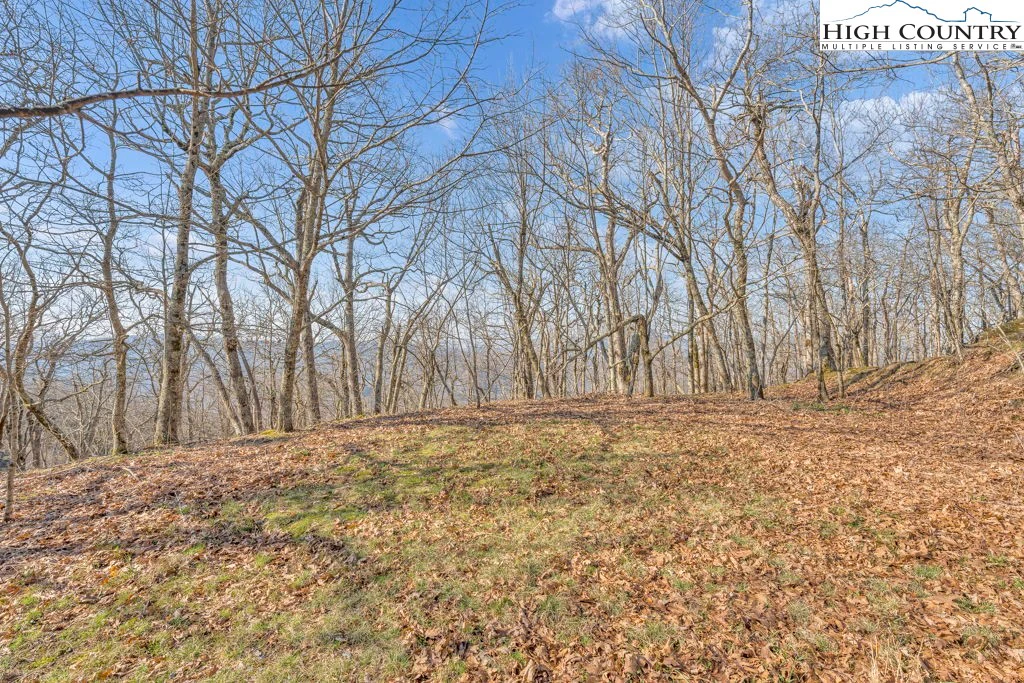 Image number 1 for the current listing
