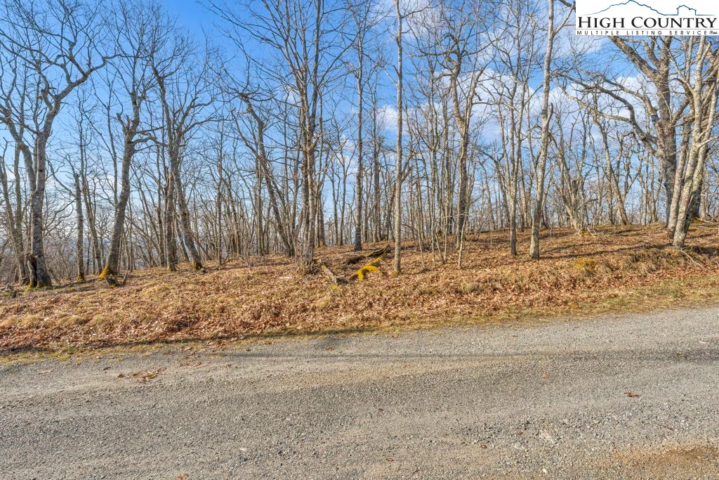 Image number 19 for the current listing