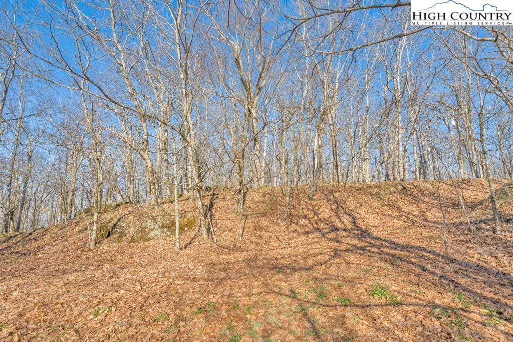 Image number 15 for the current listing