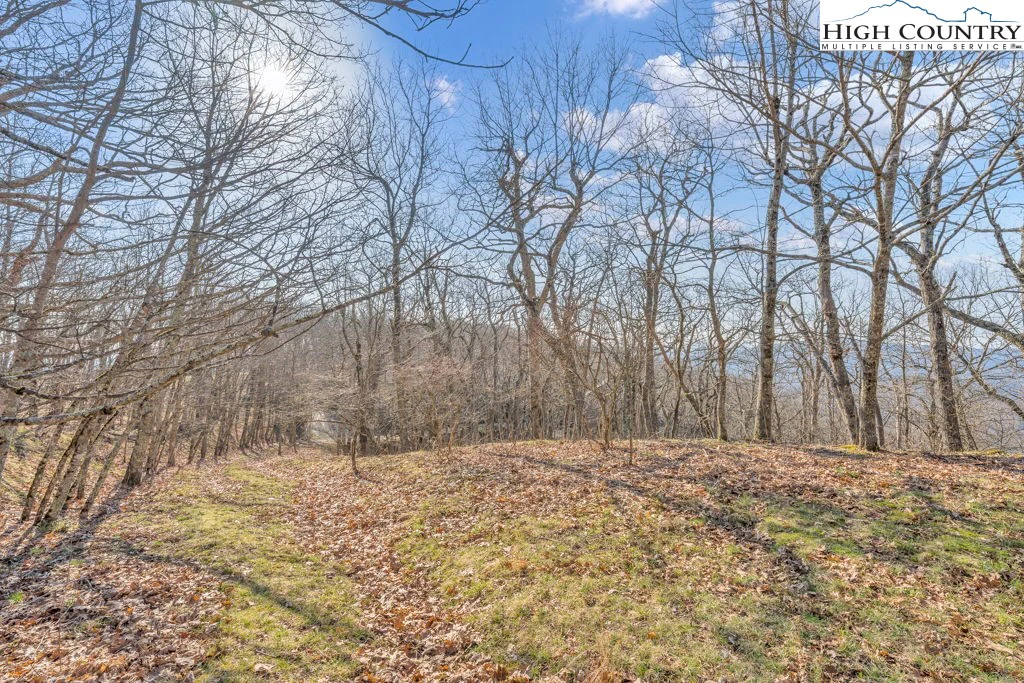 Image number 14 for the current listing