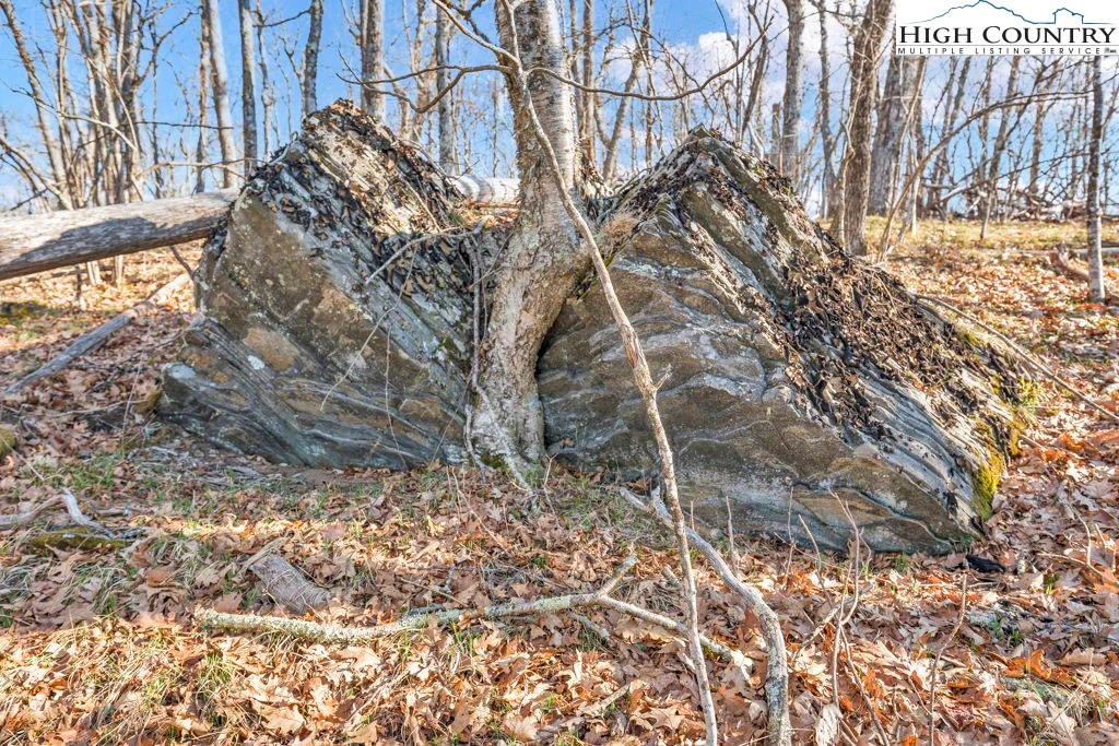 Image number 2 for the current listing