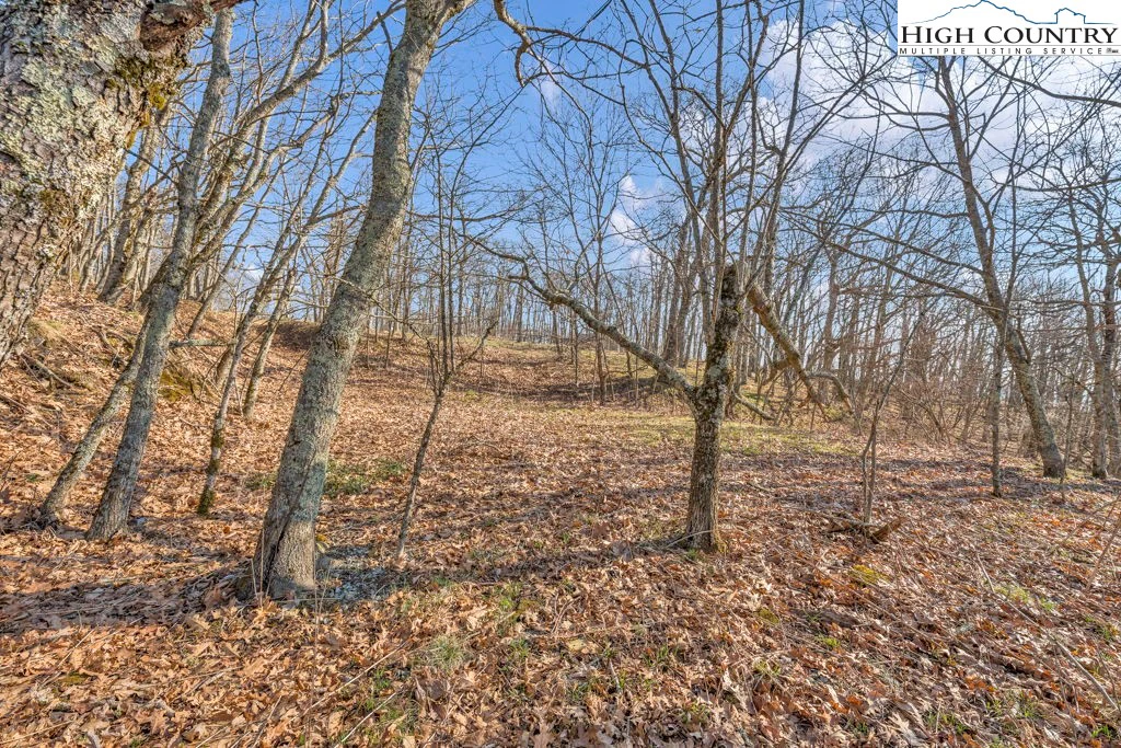 Image number 12 for the current listing
