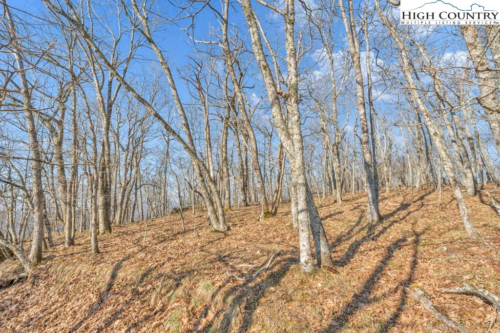 Image number 11 for the current listing