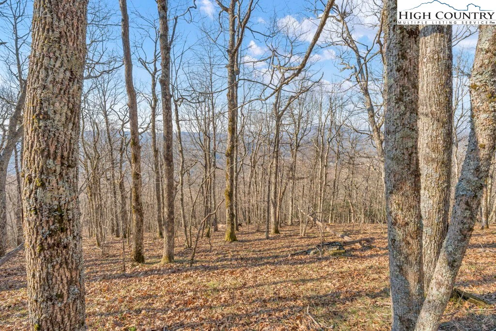 Image number 10 for the current listing