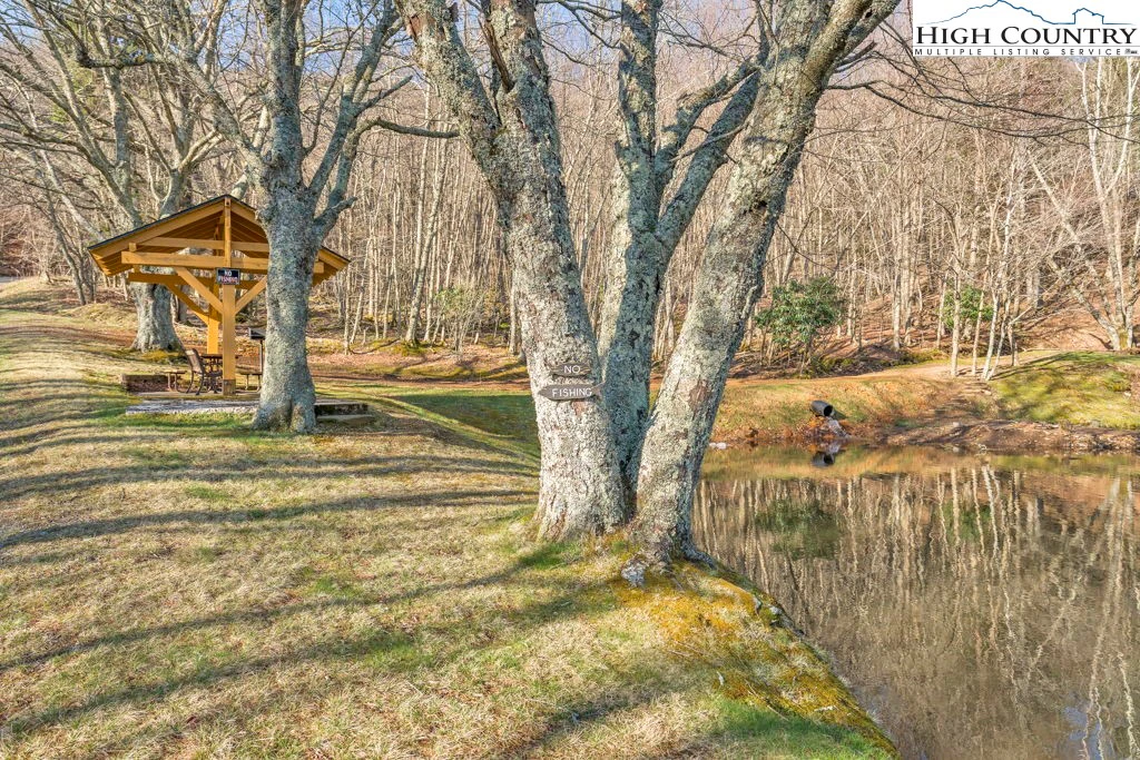 Image number 6 for the current listing