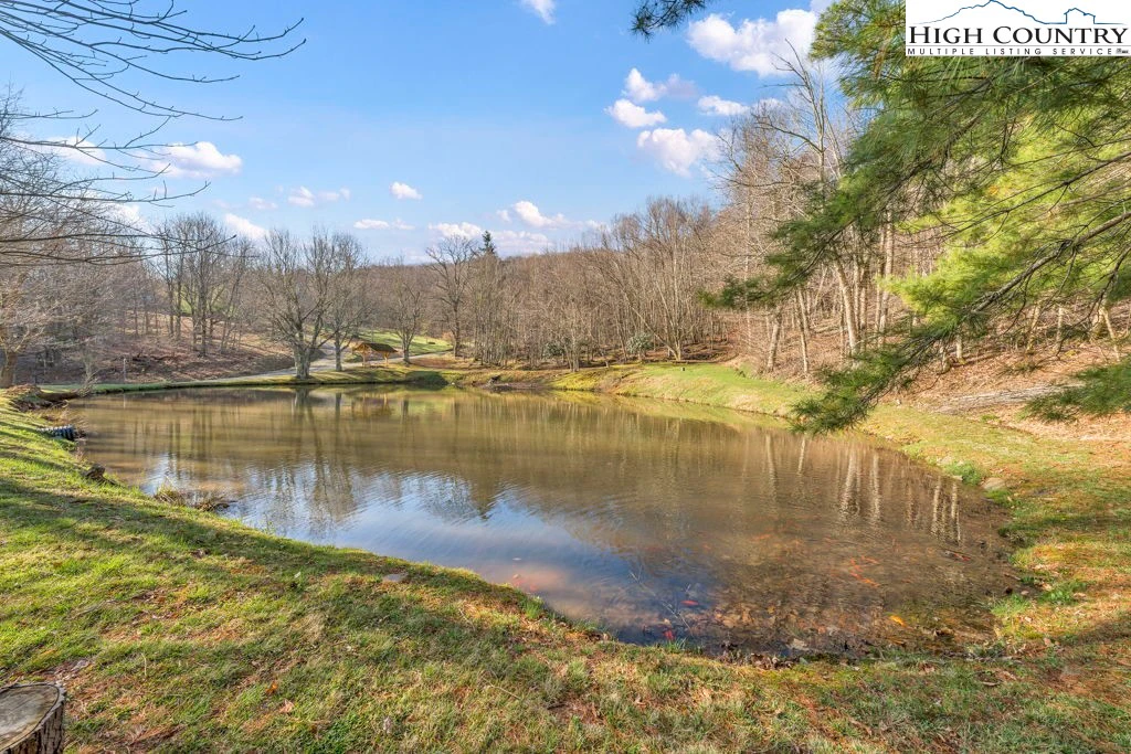 Image number 4 for the current listing