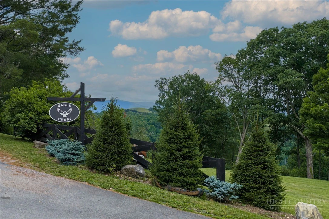 Image number 3 for the current listing