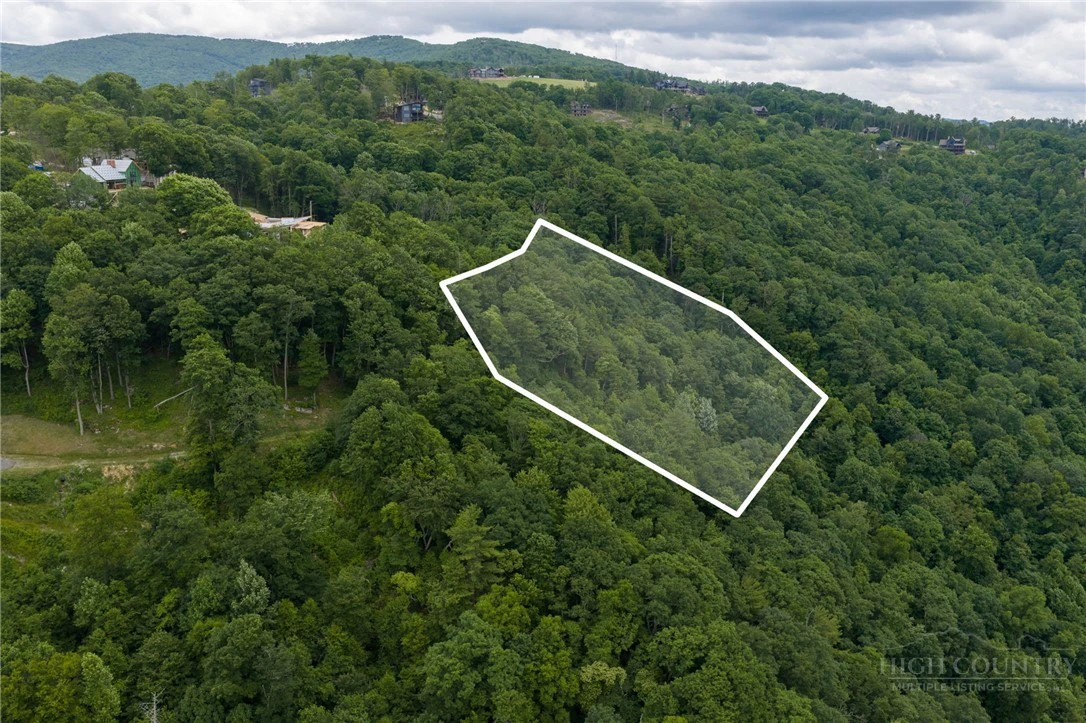Image number 5 for the current listing