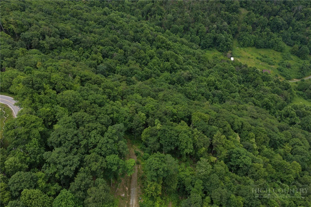 Image number 11 for the current listing
