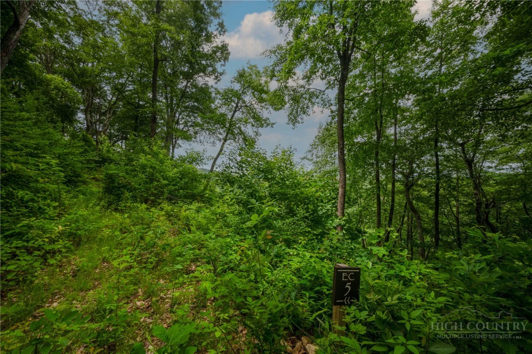 Image number 12 for the current listing