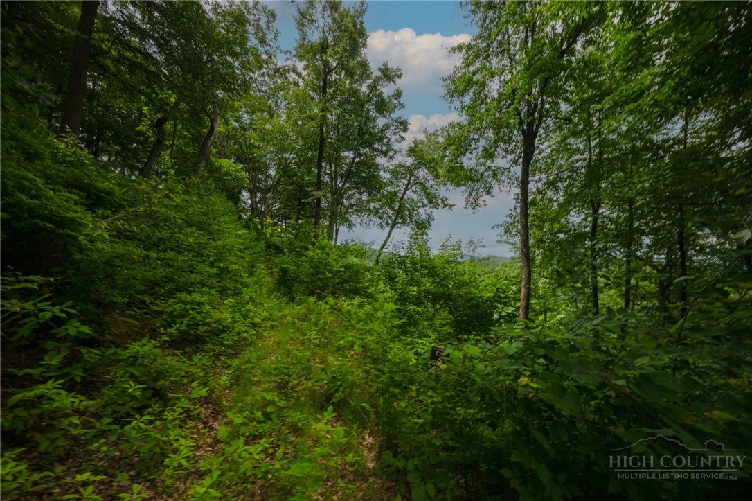 Image number 13 for the current listing