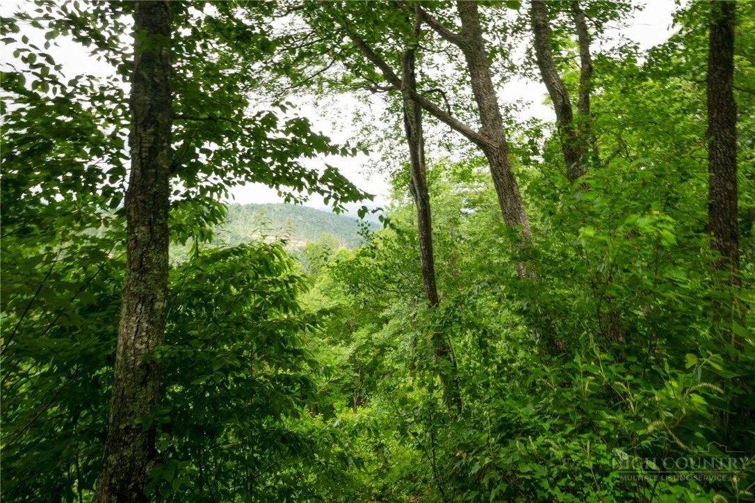 Image number 14 for the current listing