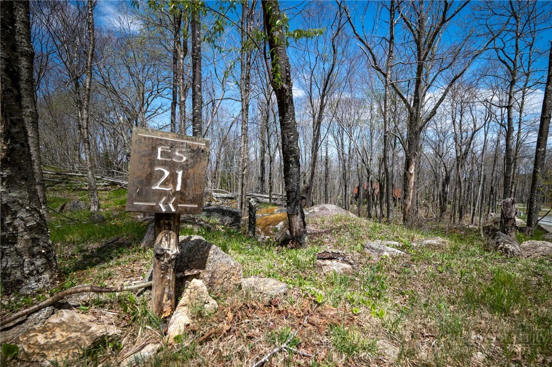 Image number 1 for the current listing