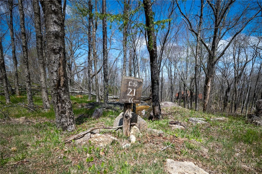 Image number 20 for the current listing