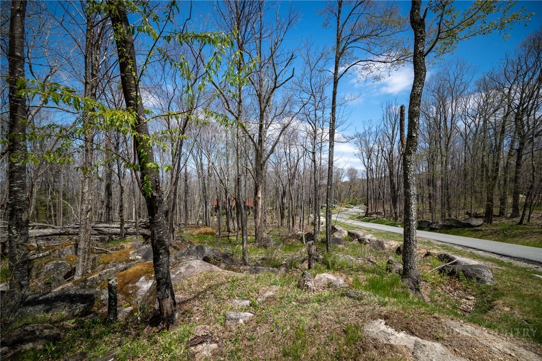 Image number 18 for the current listing