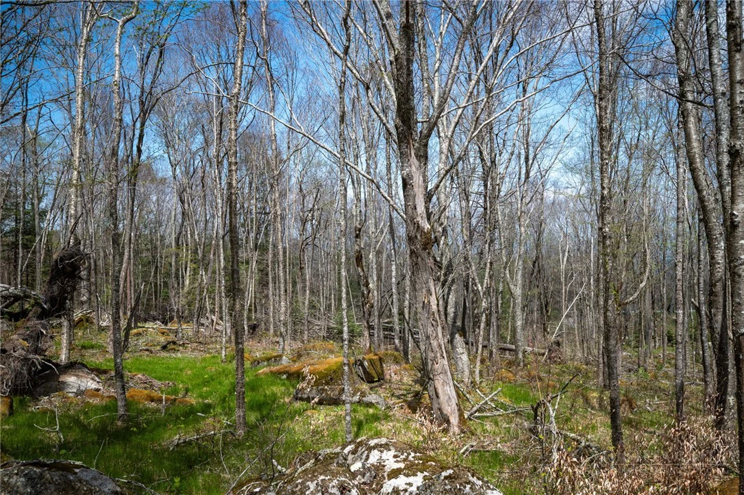 Image number 17 for the current listing