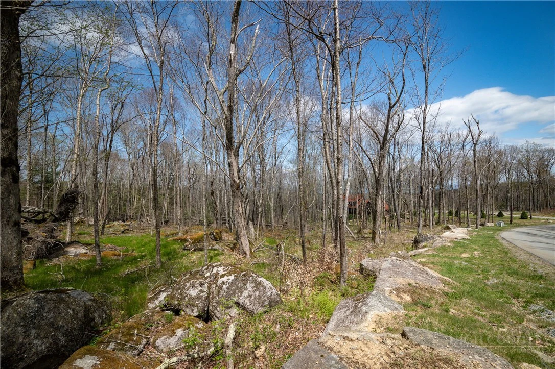 Image number 16 for the current listing