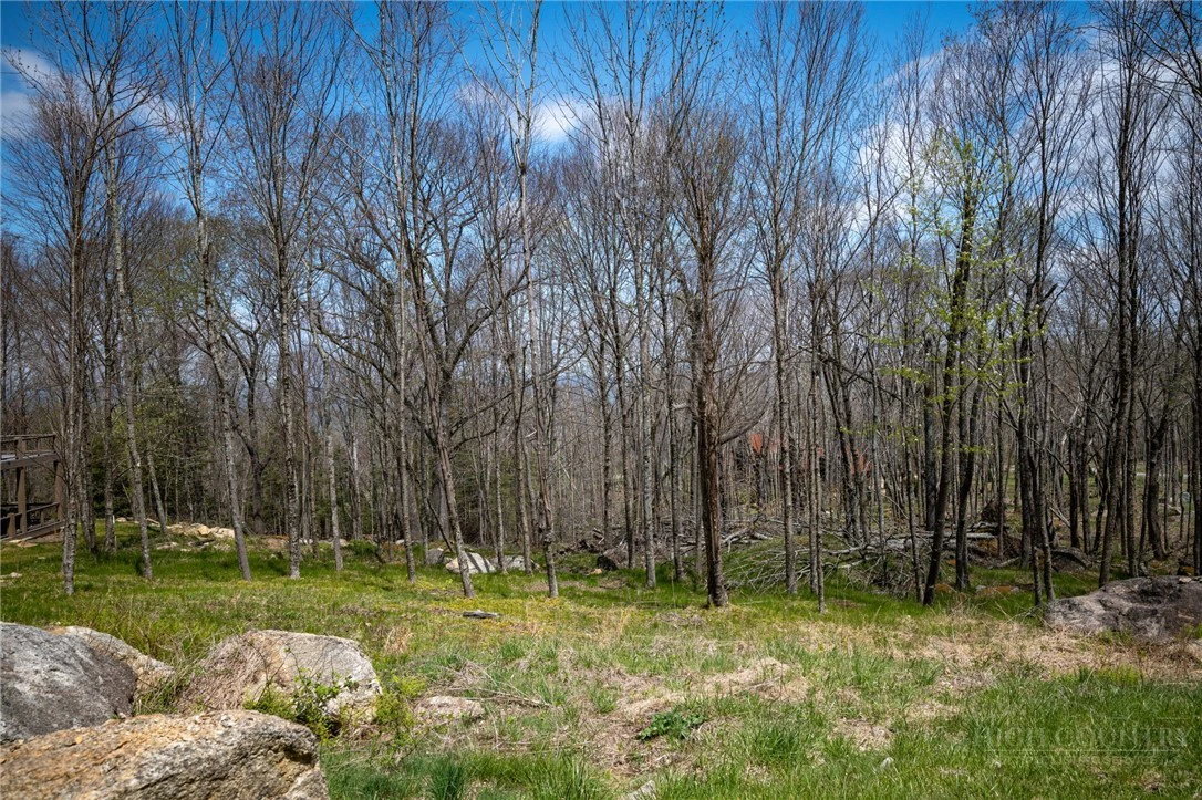 Image number 14 for the current listing