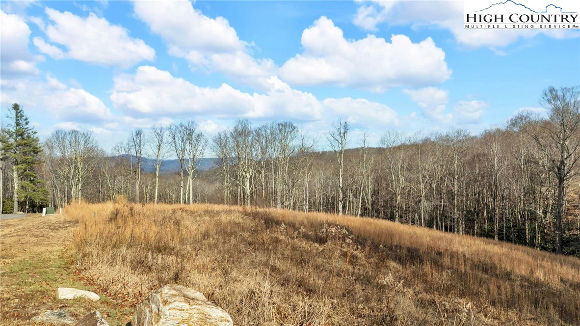 Image number 1 for the current listing