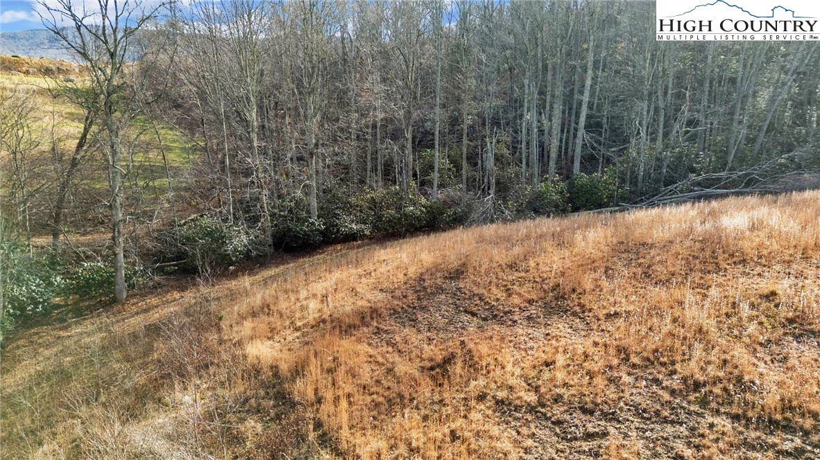 Image number 16 for the current listing