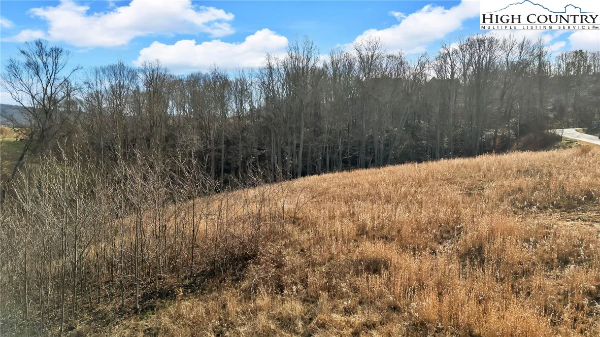 Image number 13 for the current listing