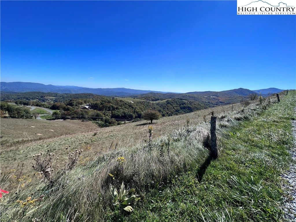 Image number 11 for the current listing