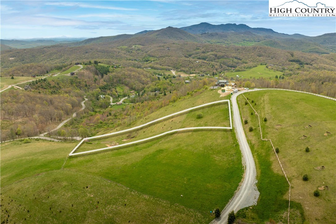 Image number 5 for the current listing