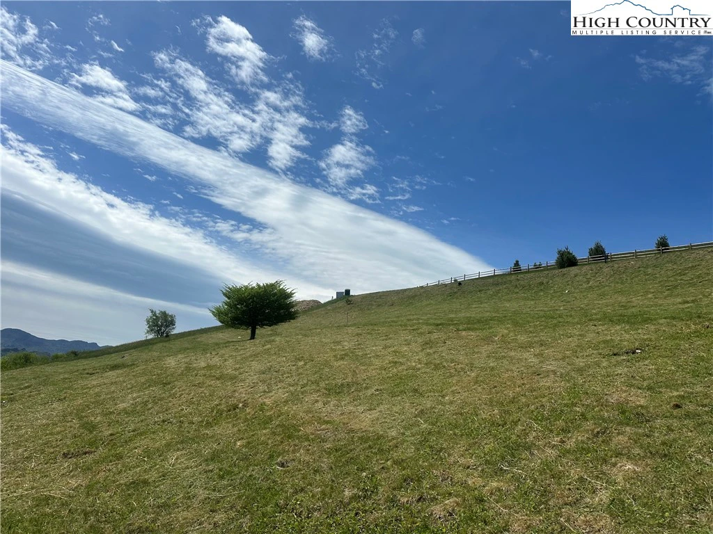Image number 17 for the current listing