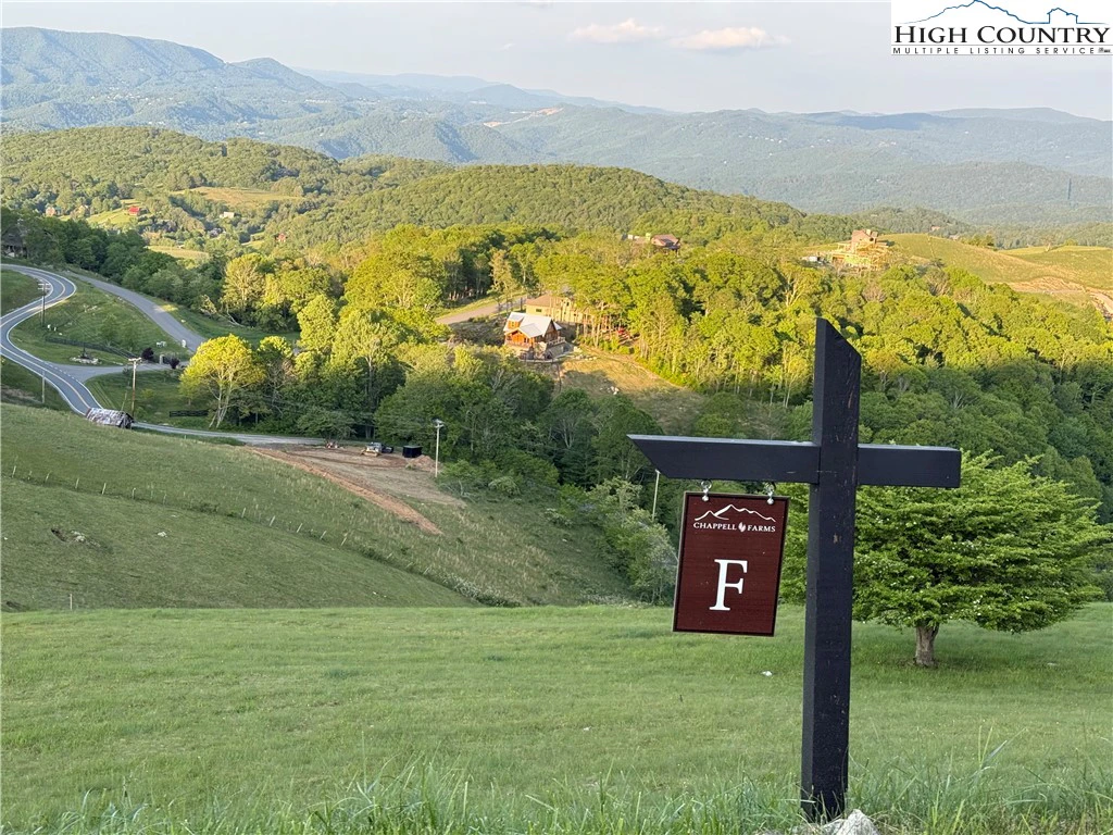 Image number 1 for the current listing