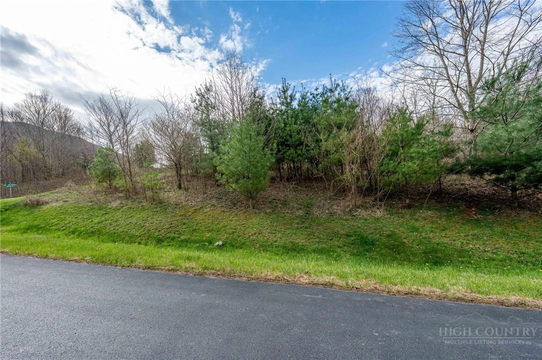 Image number 2 for the current listing