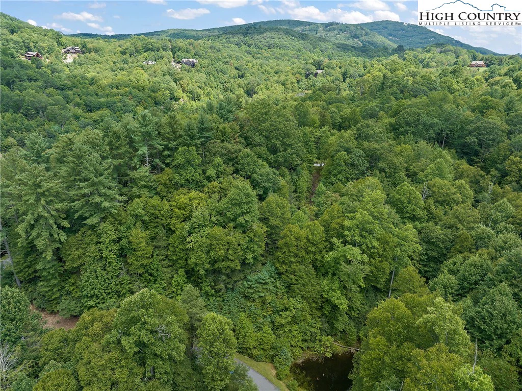 Image number 3 for the current listing
